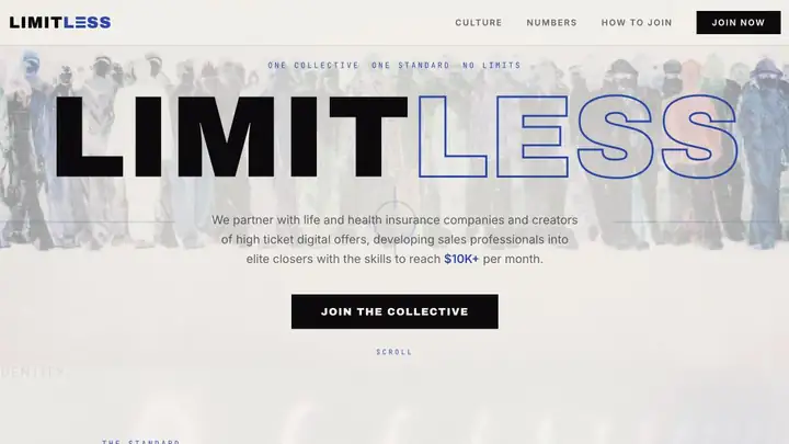 Limitless Collective website homepage
